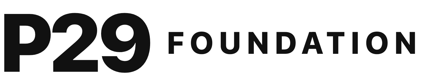 P29 Foundation